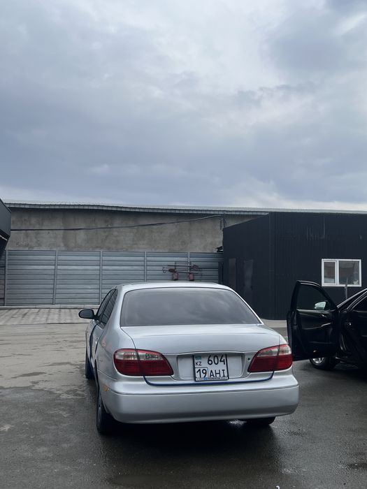 Продам nissam maxima