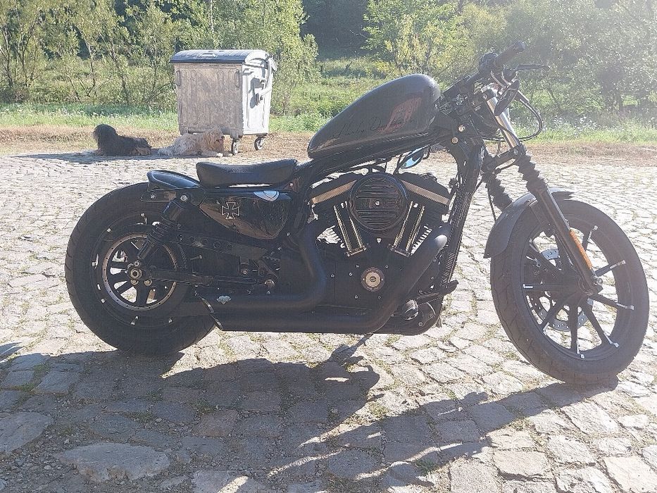 Harley Davidson iron 883 2022