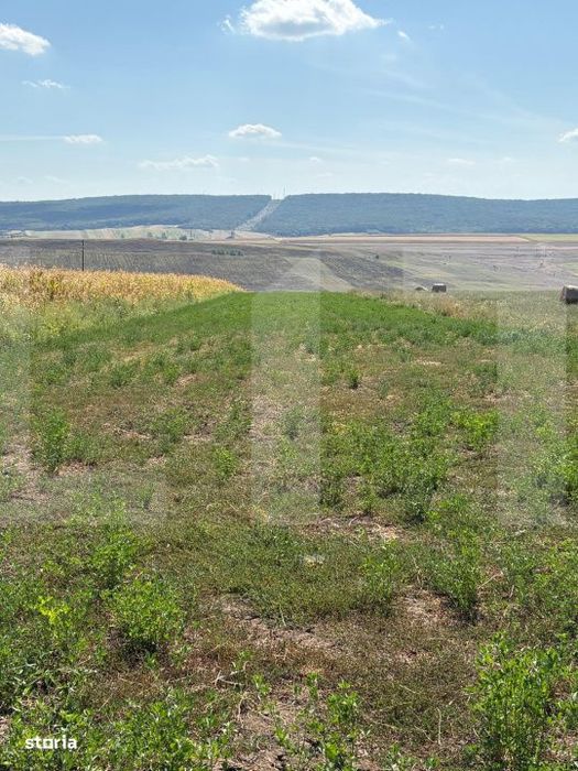 Teren intravilan de vanzare, 5000 mp, zona Catamarasti-Deal