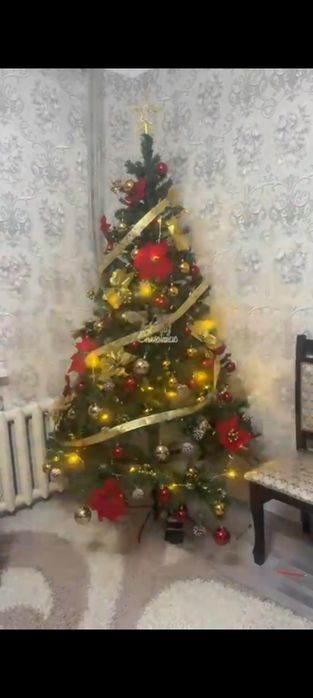 Ёлка продам высота 210 см