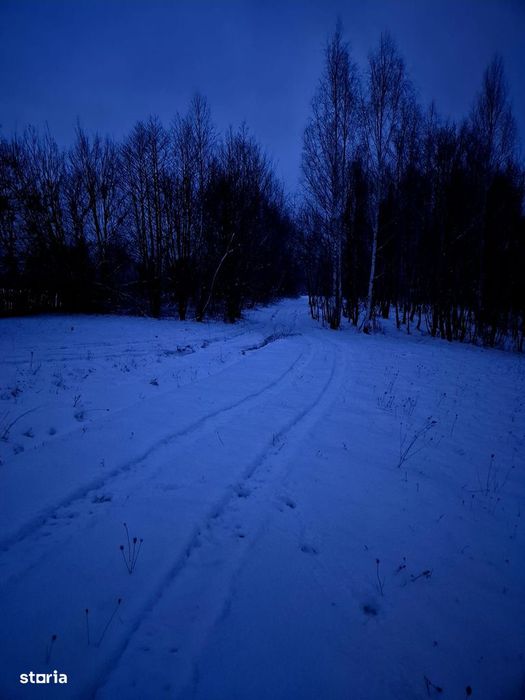 Teren 5000 mp extravilan Sinca Noua