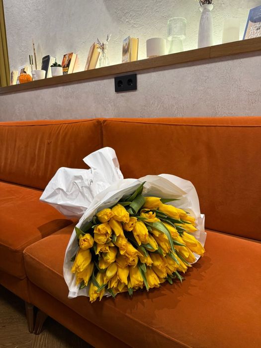 тюльпаныыы ,51шт