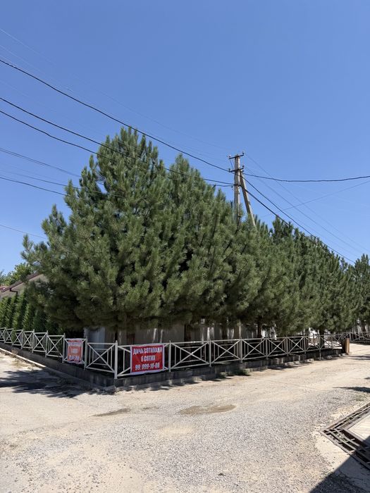 dacha oqtosh sotiladi 6 sotix kirib yashashga tayyor