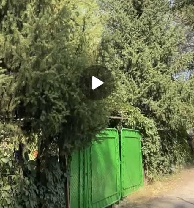 Ворота для дачи и дома