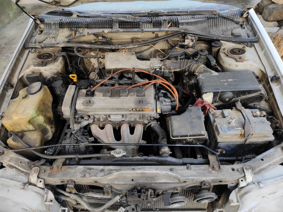 Карина Е по запчастям