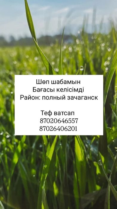 Шоп шабу!!!Кошу траву