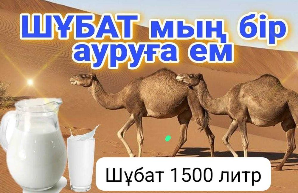 Шубат мын бир ауруга ем