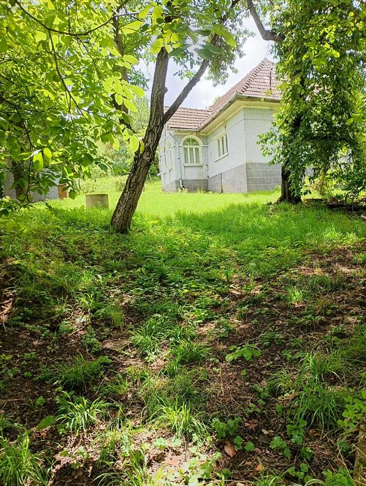 Casa de vanzare Chesau Comuna Mociu Judetul Cluj