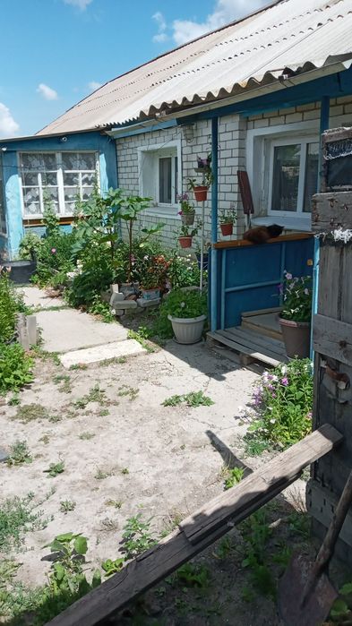 Продам два дома.