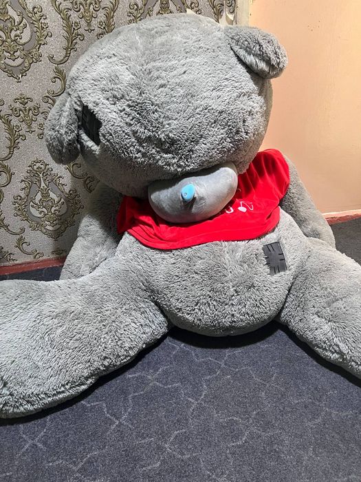 Teddiy yangi tez soʻriladi pul zarur