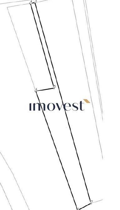 Teren extravilan de vanzare Ardud | Viile Satu Mare | 44 ari | Acces a