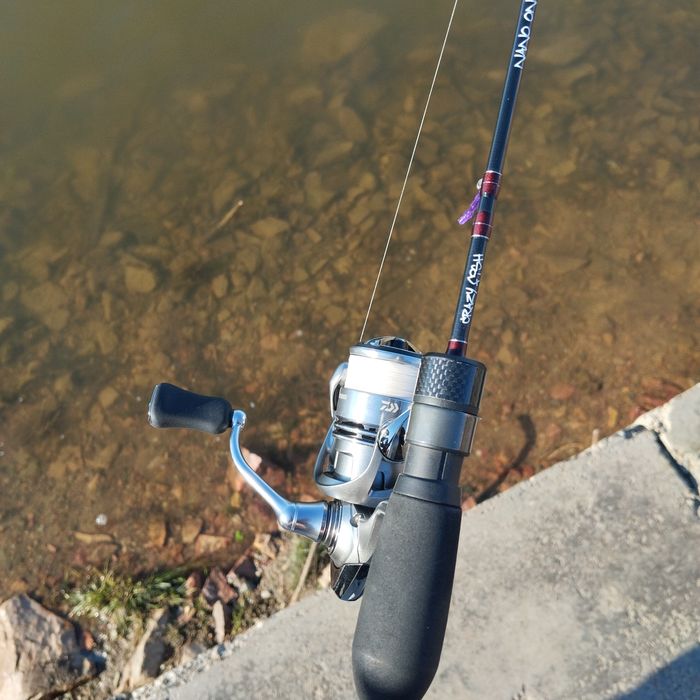 Crazy fish Nano one se