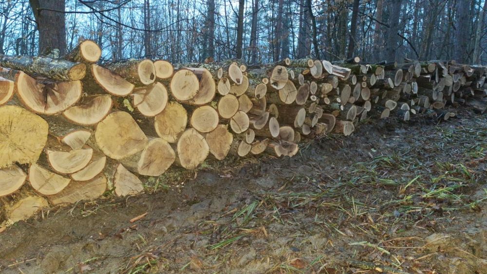 Дърва за огрев метрови и нарязани