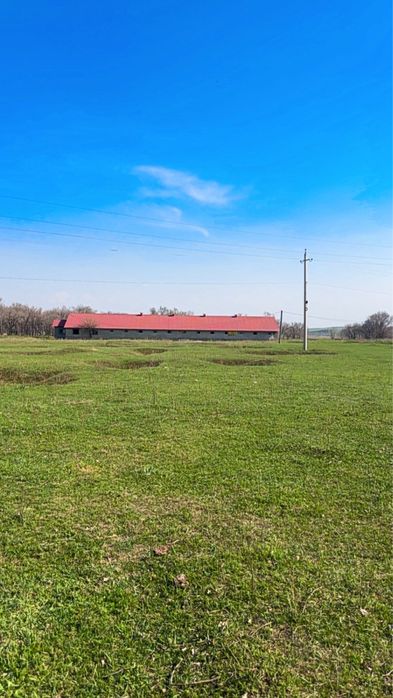 Участок!Жер! Кх!