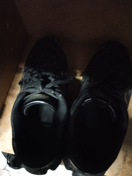 Озвиги черные паль