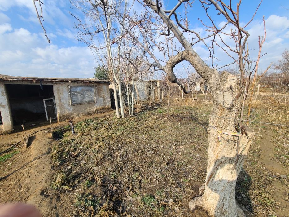 Дача Продаётся Васход