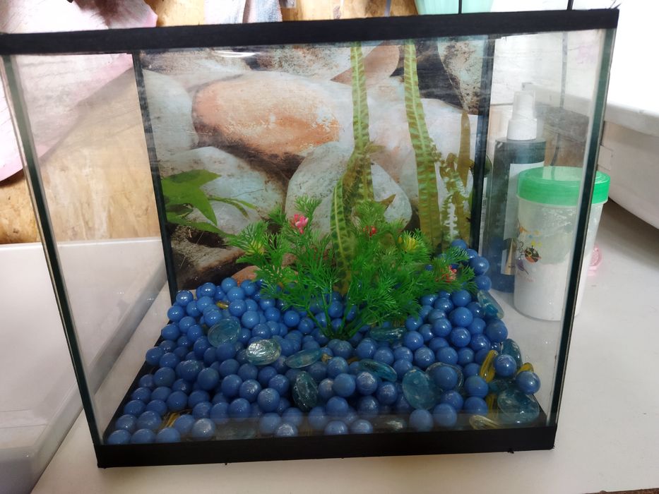 Аквариум 12литров