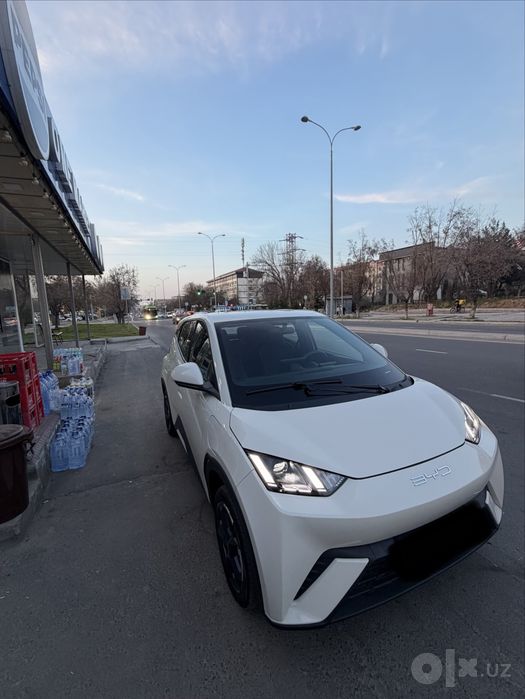 Byd seagull srochna sotiladi
