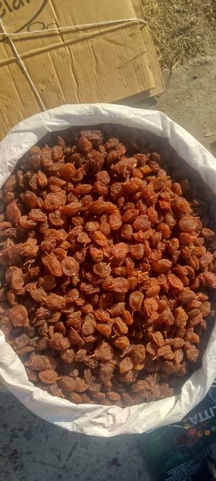 Narhi kelishiladi har xilidan bor.