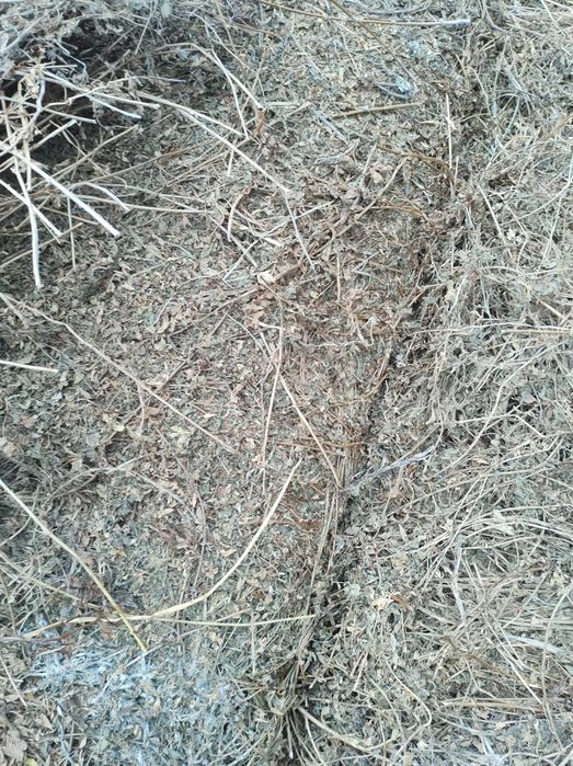 Baloți de lucernă amestec cu fân