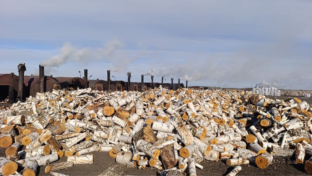 Дрвесный. Берёзовый уголь