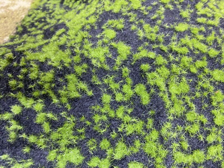 Продам декоративный мох