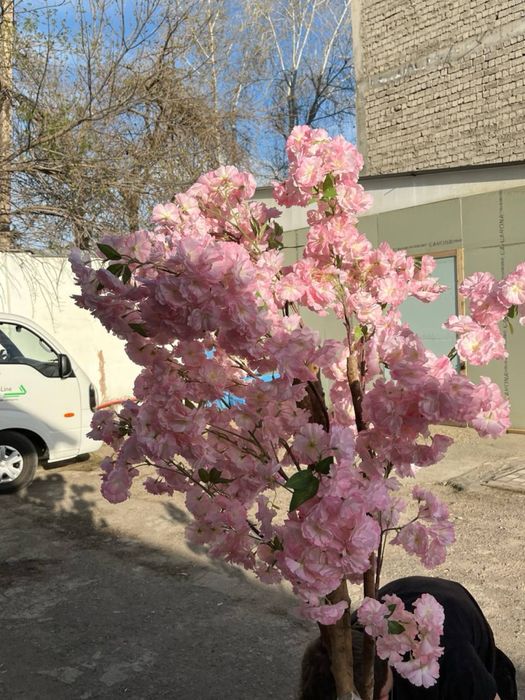 Сдаю в аренду искуственые деревья