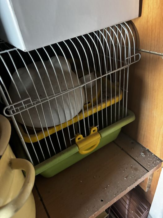 Домик для попугая