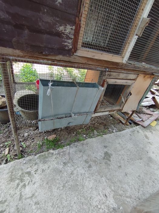 куён,кафас.сотилади