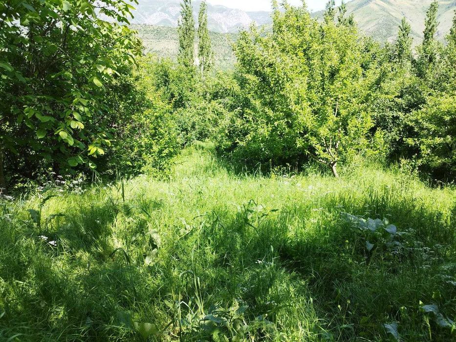 Земельный участок 10+8  сот с ордером в горах /Нанай/