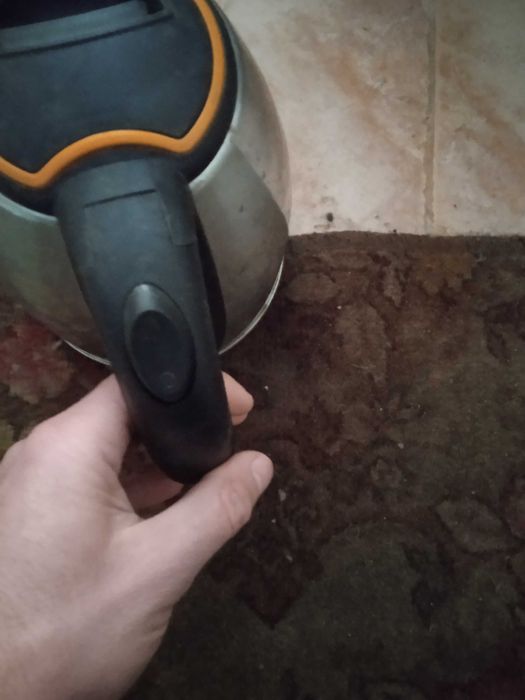 Електрическа  кана за вода