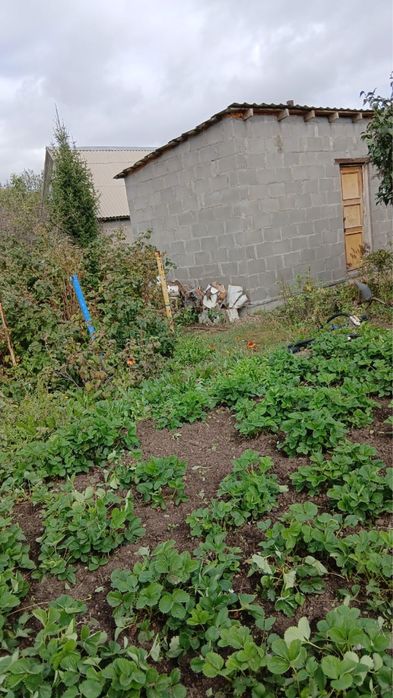 Продается дача спп металлург