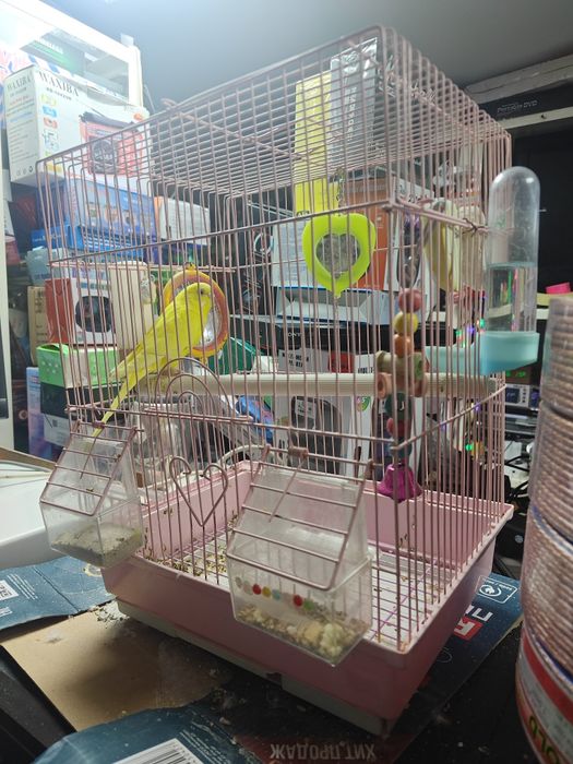Продаю клетку с попугаем