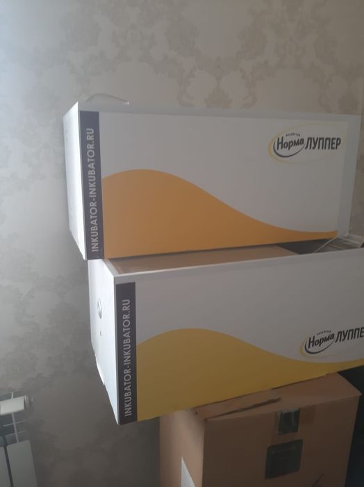 Инкубатор жұмыртқа