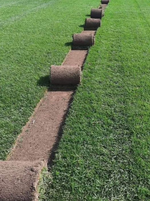 Gazon Rulou și sistem de irigare