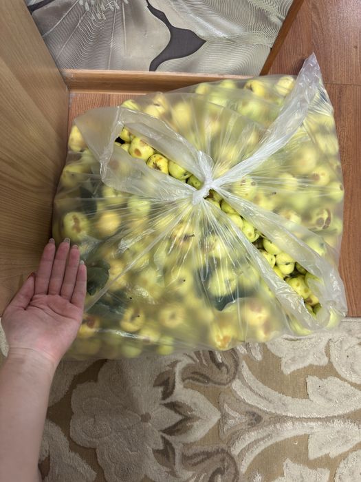 Продам яблоки дачные