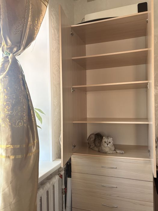 Шкаф  2,30 на 85