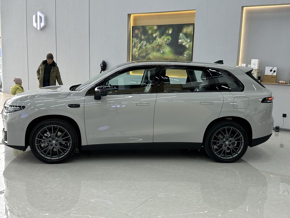 Leapmotor c10 530 elektro 2  dop opsiya