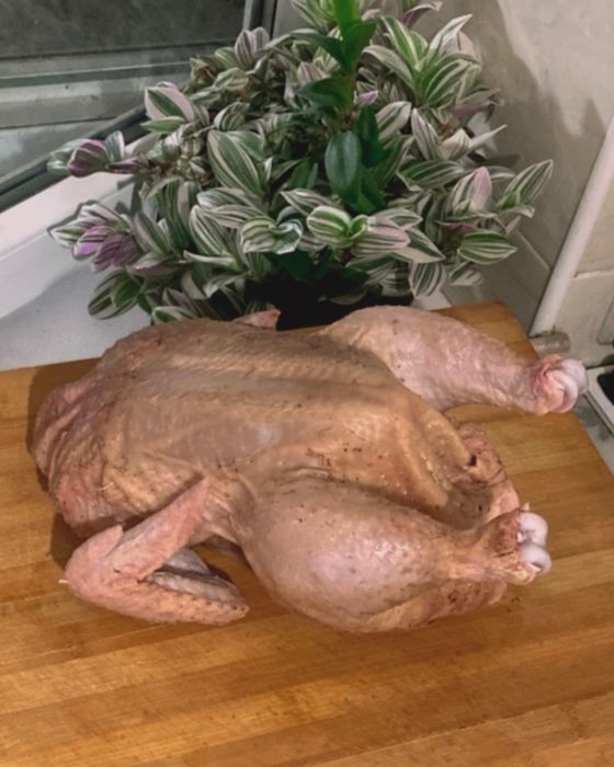 Мясо индейки индюк на мясо