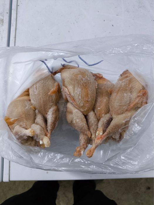 Мясо птицы . Перепелки