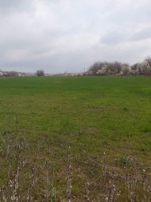 Продава се Парцел в с. Ясен, Област Плевен - 17172 кв.м за 15 €/кв.м - Снимка #3