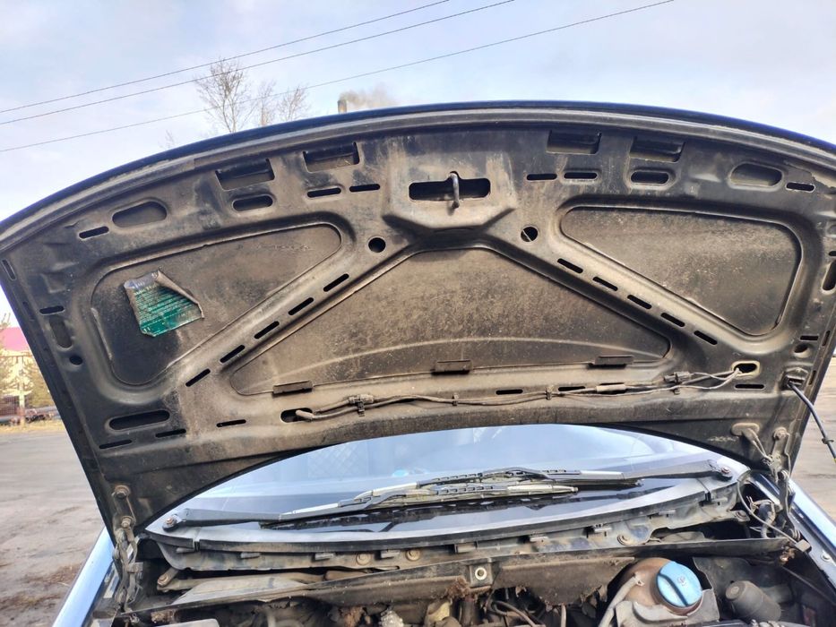 Продам Шаран 1995г