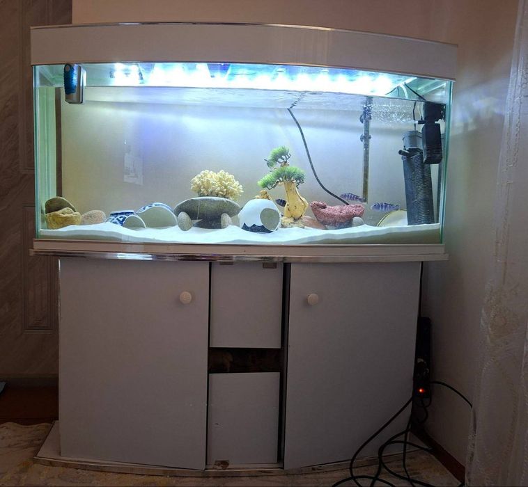 Аквариум сотилади