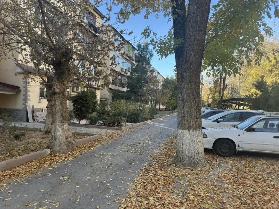 #2031

Мирзо-Улугбекский район
массив Феруза, быв.кинотеатр Феруза