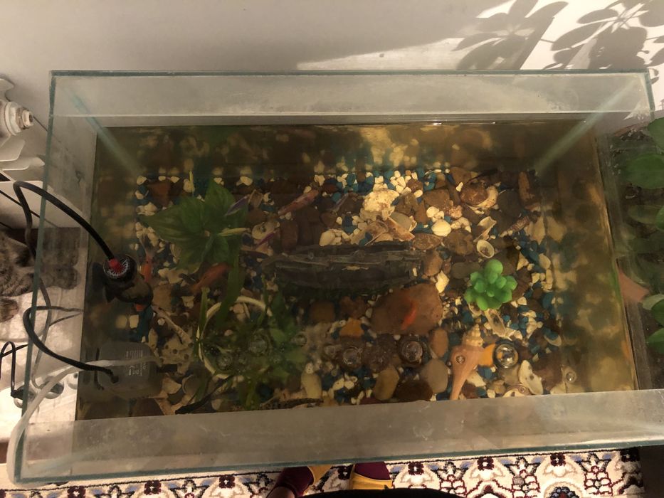 Акварум чистый