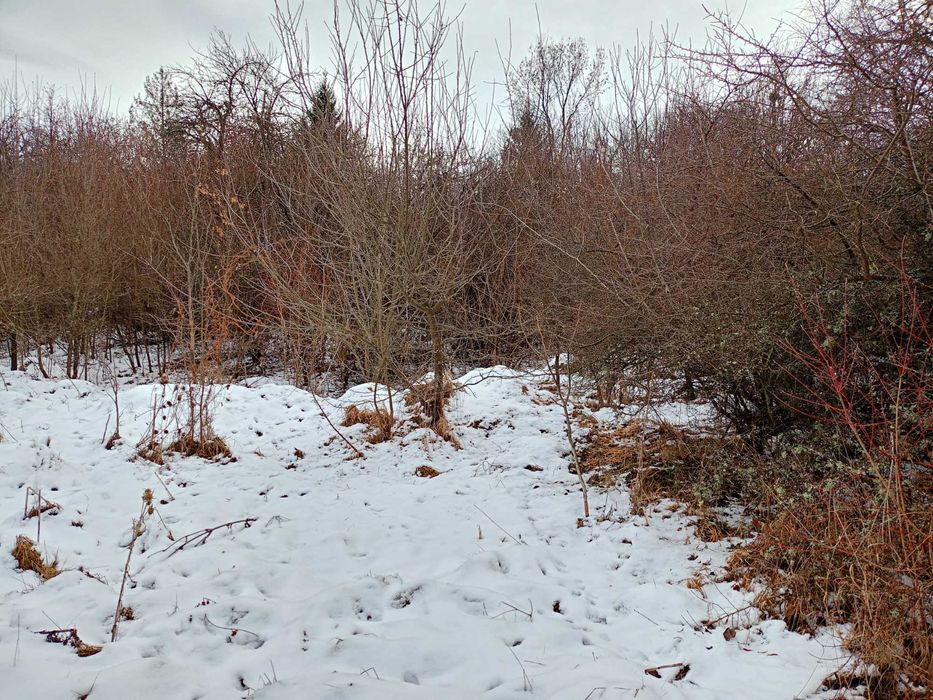 Продава се Парцел в с. Ялботина, Област София-област - 1000 кв.м за 8 €/кв.м - Снимка #6