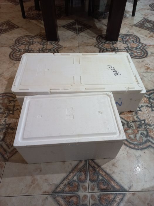 Cutii termice de polistiren