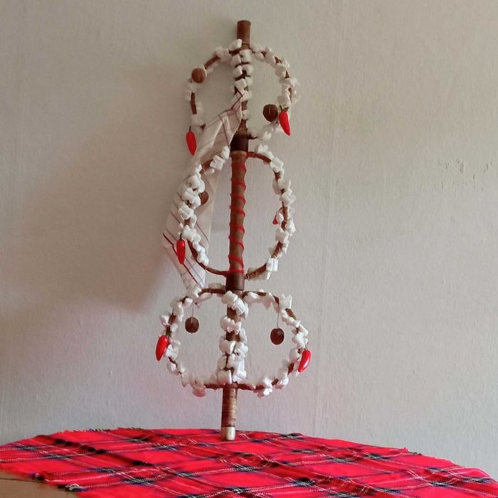 РЕ - кавал сурвакница