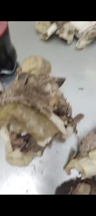 Ет жасау асу бөліктеу