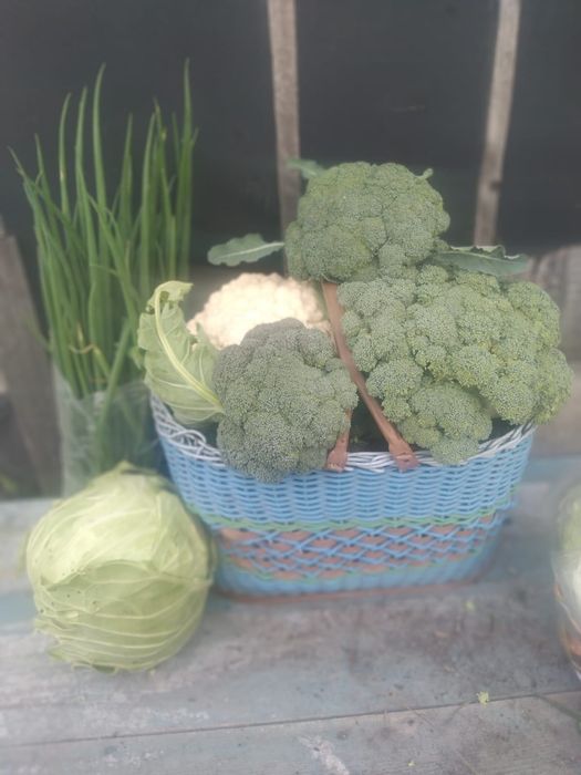 Продам дом в Имантау